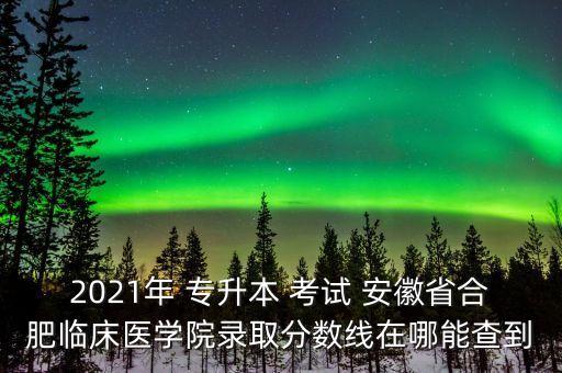 2021年 專升本 考試 安徽省合肥臨床醫(yī)學院錄取分數(shù)線在哪能查到