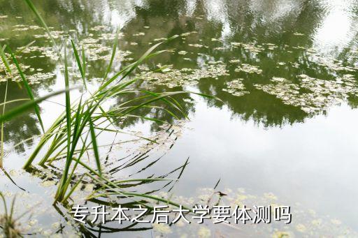  專升本之后大學(xué)要體測(cè)嗎