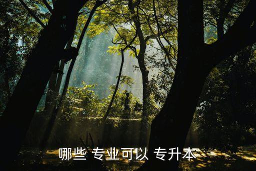 哪些 專業(yè)可以 專升本