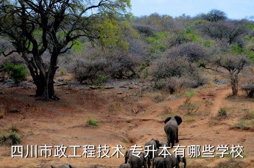 四川市政工程技術(shù) 專升本有哪些學校