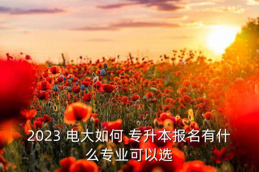 2023 電大如何 專升本報(bào)名有什么專業(yè)可以選