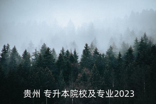  貴州 專升本院校及專業(yè)2023