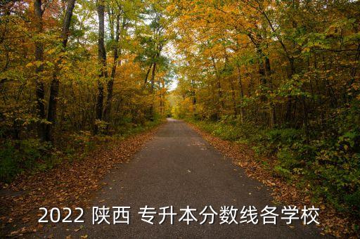 2022 陜西 專升本分?jǐn)?shù)線各學(xué)校