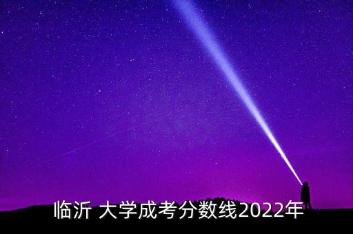  臨沂 大學(xué)成考分?jǐn)?shù)線2022年