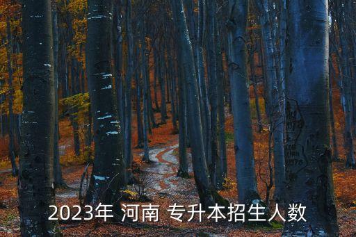 2023年 河南 專升本招生人數(shù)