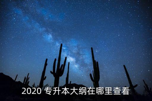 山東專升本考綱怎么查,2022年山東專升本英語考綱