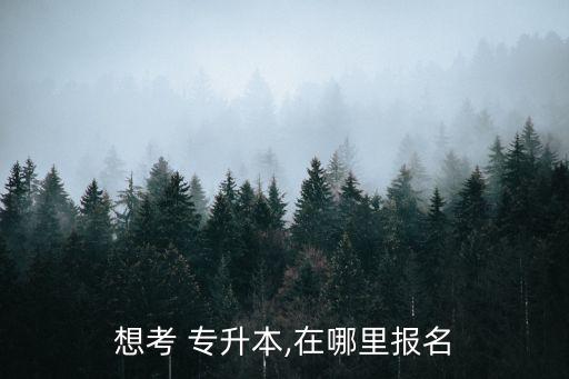 想考 專升本,在哪里報名