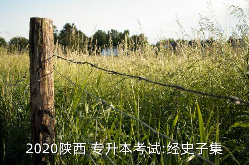 2020陜西 專升本考試:經(jīng)史子集