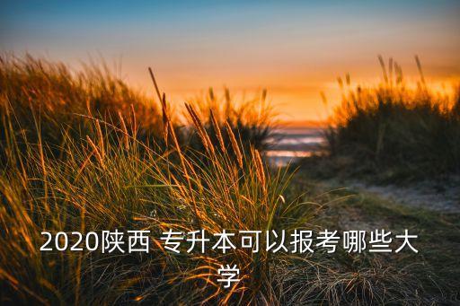 2020陜西 專升本可以報(bào)考哪些大學(xué)