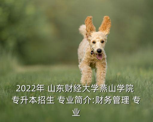 2022年 山東財(cái)經(jīng)大學(xué)燕山學(xué)院 專升本招生 專業(yè)簡(jiǎn)介:財(cái)務(wù)管理 專業(yè)