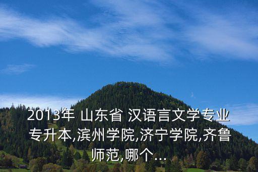 2013年 山東省 漢語言文學(xué)專業(yè) 專升本,濱州學(xué)院,濟(jì)寧學(xué)院,齊魯師范,哪個...