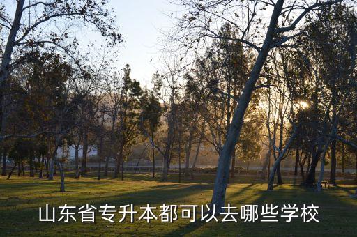 山東省專升本都可以去哪些學(xué)校