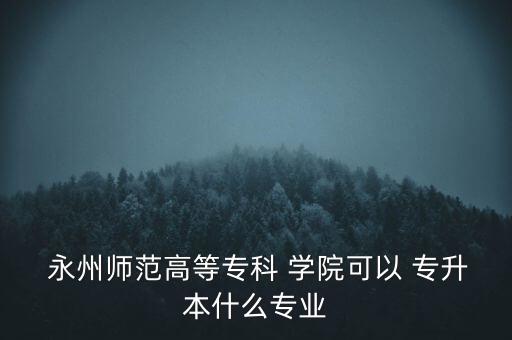  永州師范高等專科 學(xué)院可以 專升本什么專業(yè)