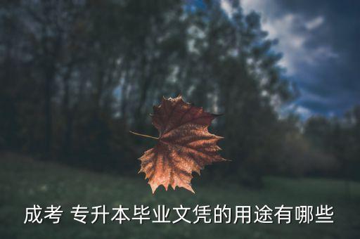 成人專升本學(xué)位證有用嗎,成考拿不到學(xué)位證白讀了么