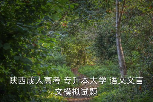 陜西成人高考 專升本大學(xué) 語文文言文模擬試題