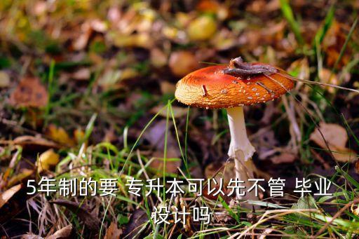 5年制的要 專升本可以先不管 畢業(yè) 設(shè)計(jì)嗎