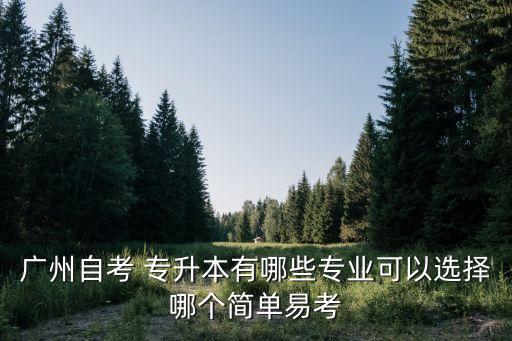 廣州自考 專升本有哪些專業(yè)可以選擇哪個(gè)簡(jiǎn)單易考