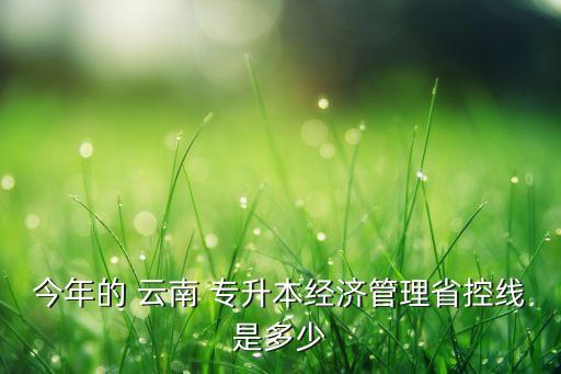 今年的 云南 專升本經(jīng)濟管理省控線是多少