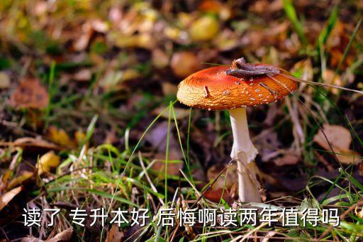 為什么說讀了專升本后悔一生,專升本為什么在別的學(xué)校讀