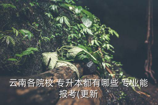 云南各院校 專升本都有哪些 專業(yè)能報(bào)考(更新