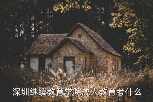  深圳繼續(xù)教育學(xué)院成人教育考什么