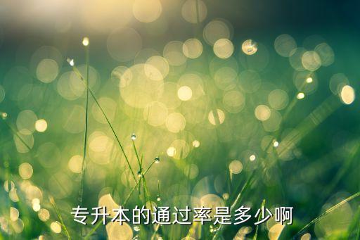 甘肅統(tǒng)招專升本錄取率,江西統(tǒng)招專升本錄取率