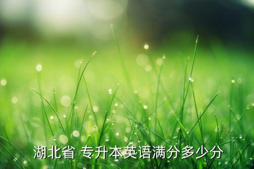  湖北省 專升本英語滿分多少分