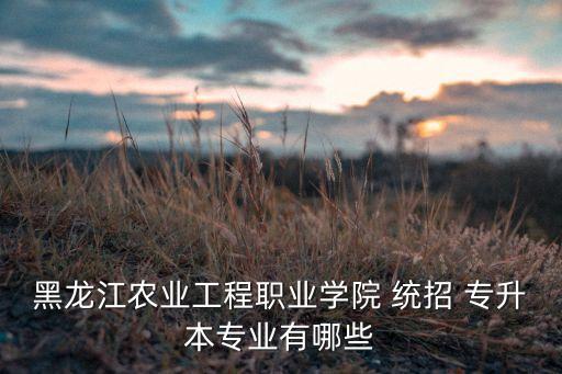 黑龍江農(nóng)業(yè)工程職業(yè)學(xué)院 統(tǒng)招 專升本專業(yè)有哪些