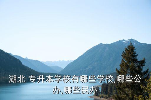 湖北 專升本學校有哪些學校,哪些公辦,哪些民辦