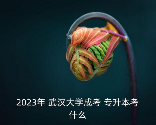 2023年 武漢大學(xué)成考 專升本考什么