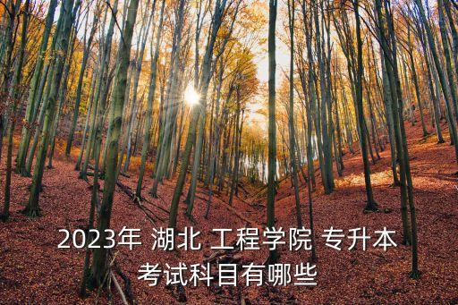 2023年 湖北 工程學(xué)院 專升本考試科目有哪些