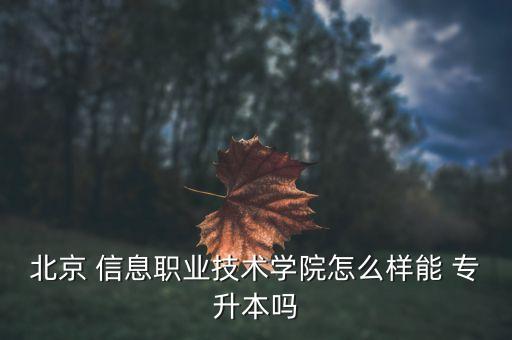 北京 信息職業(yè)技術(shù)學(xué)院怎么樣能 專升本嗎