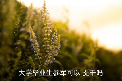 大學(xué)畢業(yè)生參軍可以 提干嗎