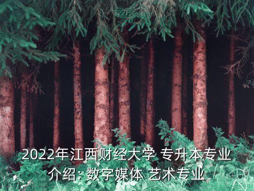 2022年江西財經(jīng)大學 專升本專業(yè)介紹: 數(shù)字媒體 藝術(shù)專業(yè)