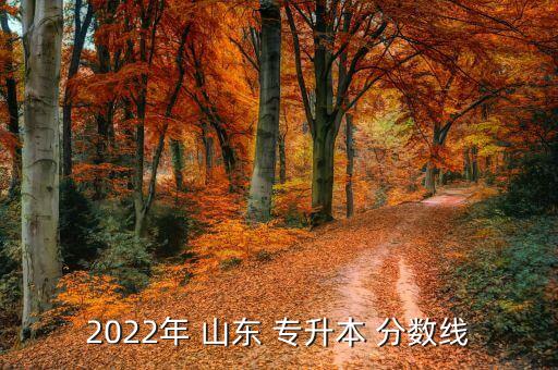 2022年 山東 專升本 分數(shù)線