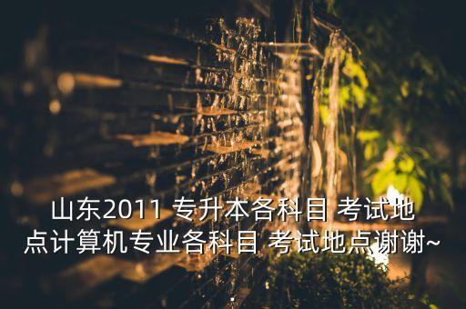 山東2011 專升本各科目 考試地點計算機專業(yè)各科目 考試地點謝謝~·