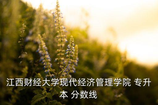 江西財(cái)經(jīng)大學(xué)現(xiàn)代經(jīng)濟(jì)管理學(xué)院 專升本 分?jǐn)?shù)線