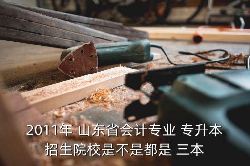 2011年 山東省會計專業(yè) 專升本招生院校是不是都是 三本