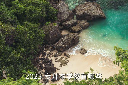 2023 專升本學(xué)校有哪些