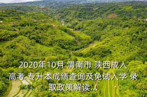 2020年10月 渭南市 陜西成人高考 專升本成績查詢及免試入學(xué) 錄取政策解讀...