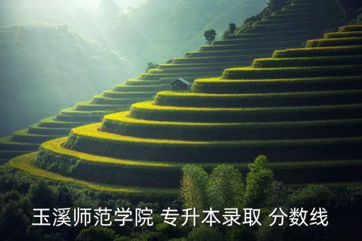 玉溪師范學(xué)院 專升本錄取 分?jǐn)?shù)線