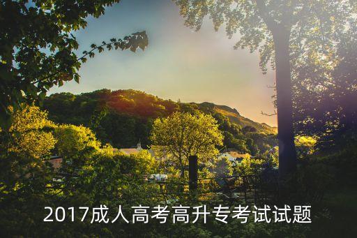 2017成人高考高升?？荚囋囶}