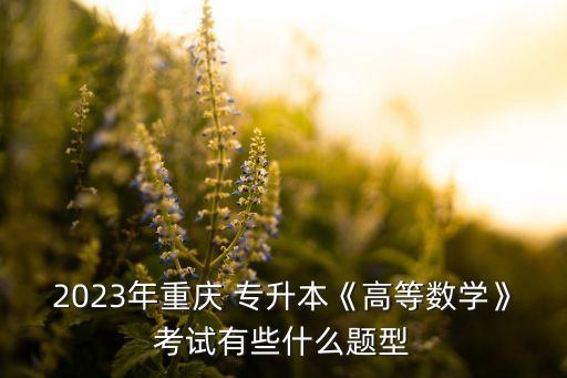 2023年重慶 專升本《高等數(shù)學(xué)》考試有些什么題型