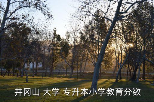  井岡山 大學(xué) 專升本小學(xué)教育分?jǐn)?shù)