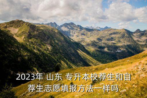 2023年 山東 專升本校薦生和自薦生志愿填報(bào)方法一樣嗎