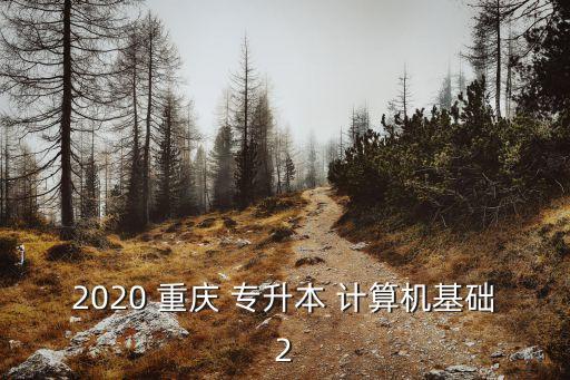 2020 重慶 專升本 計(jì)算機(jī)基礎(chǔ)2