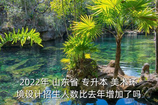 2022年 山東省 專升本 美術(shù)環(huán)境設(shè)計(jì)招生人數(shù)比去年增加了嗎