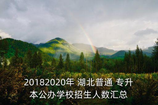 20182020年 湖北普通 專升本公辦學(xué)校招生人數(shù)匯總