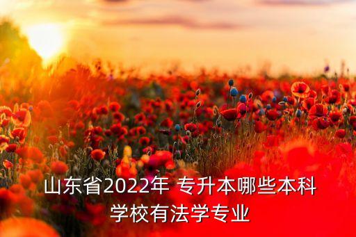  山東省2022年 專升本哪些本科 學(xué)校有法學(xué)專業(yè)