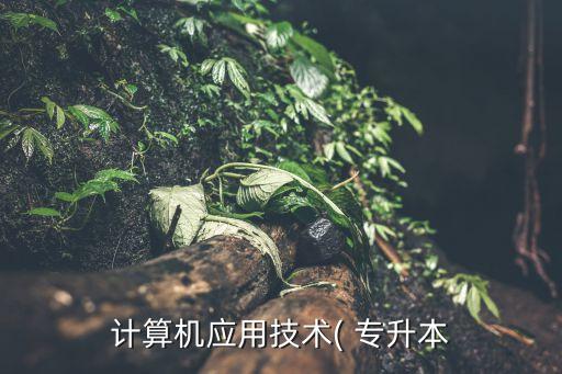 計(jì)算機(jī)應(yīng)用技術(shù)( 專升本